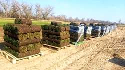 Укладка на подготовленное основание Укладка на подготовленное основание